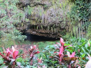 The Fern Grotto